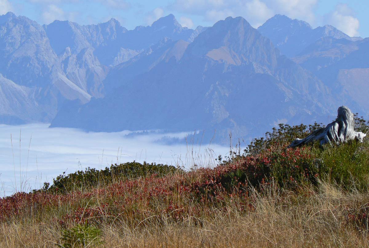 Alpenpanorama