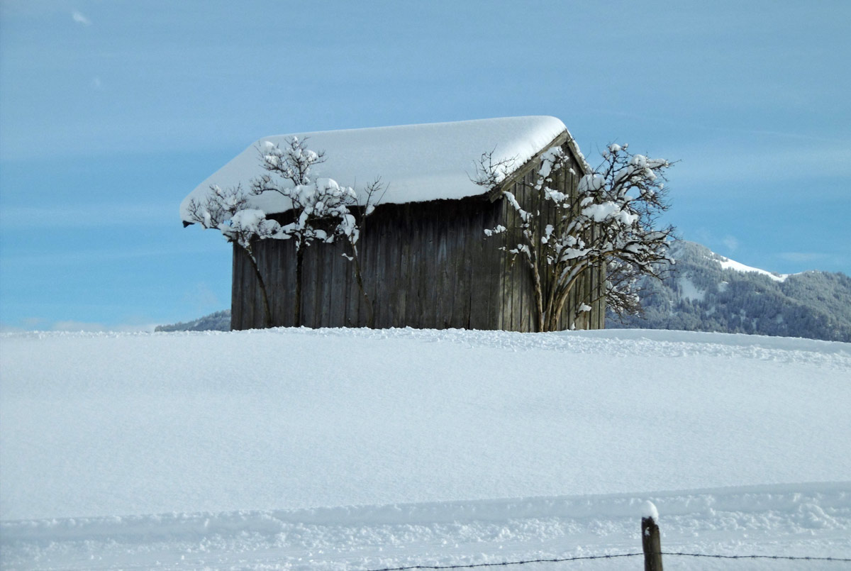 Winterwiesen