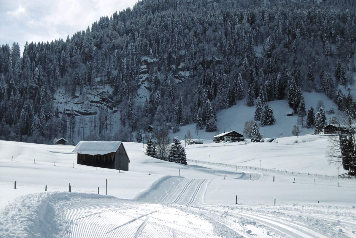 Langlaufloipen in der Umgebung