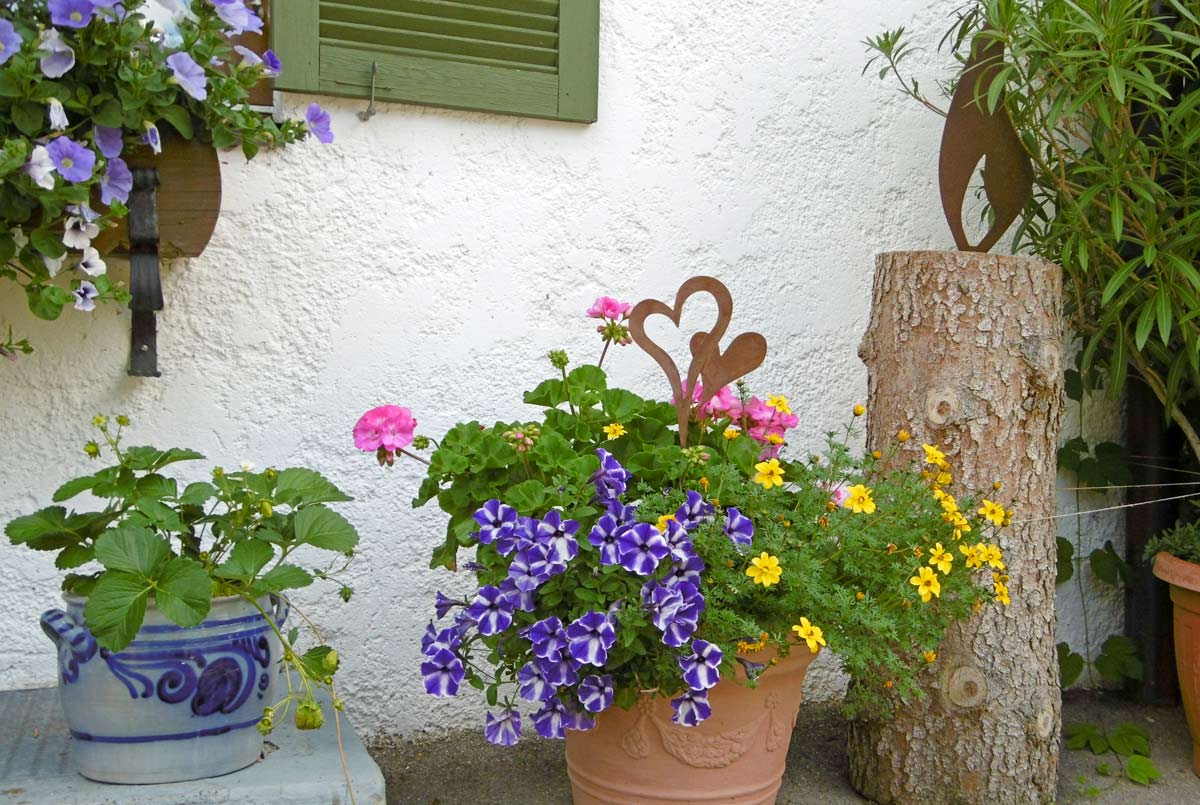 Sommerblumen Landhaus Berktold Ferienwohnungen