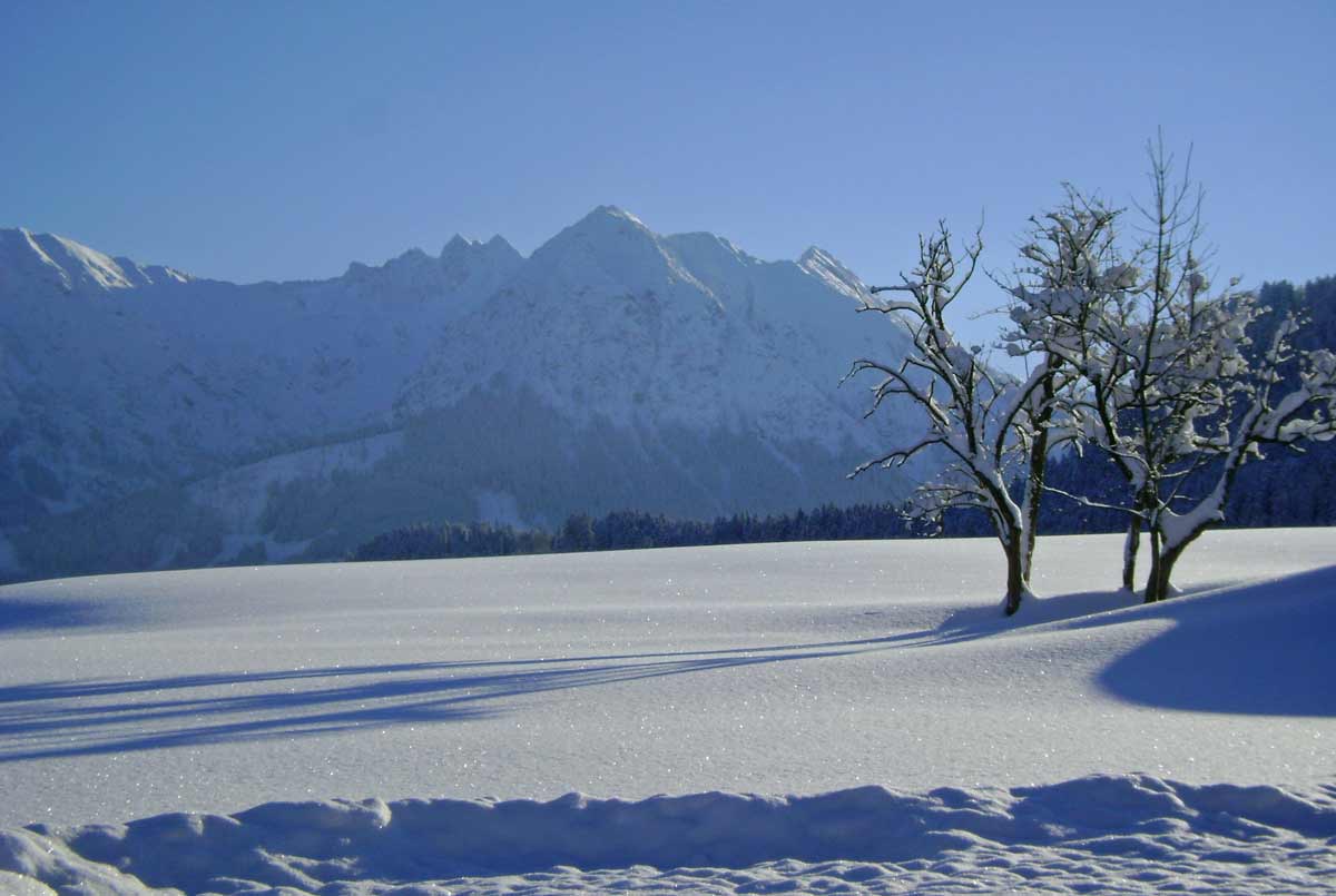 Urlaub im Winter im Landhaus Berktold Obermaiselstein | Allgäu