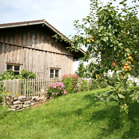 Buchungsinformationen