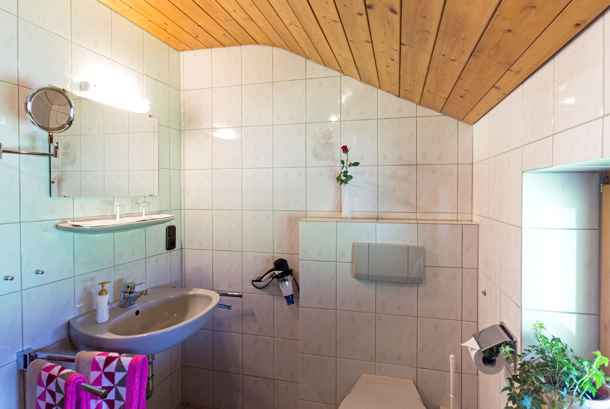 Badezimmer mit Fenster Appartment Geißhorn